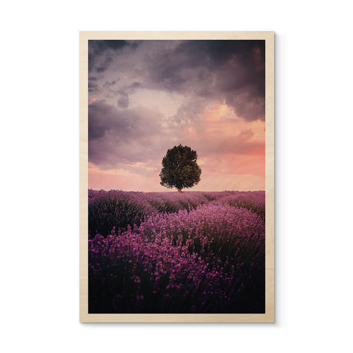 Holzbild Lila Lavendelfelder bei Sonnenuntergang - Cevik - WA425553