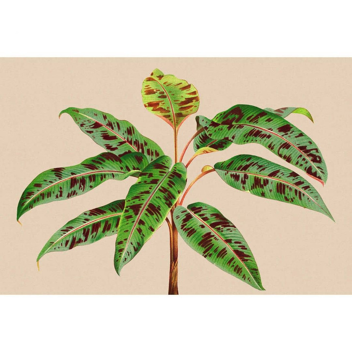 Livingwalls Fototapete Walls by Patel 3 Leaf Garden 4 grün, beige, gelb, braun - WA327949