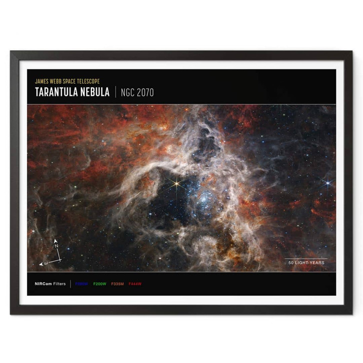 Poster James Webb Telescope - Tarantula Nebula Compass - WA349008
