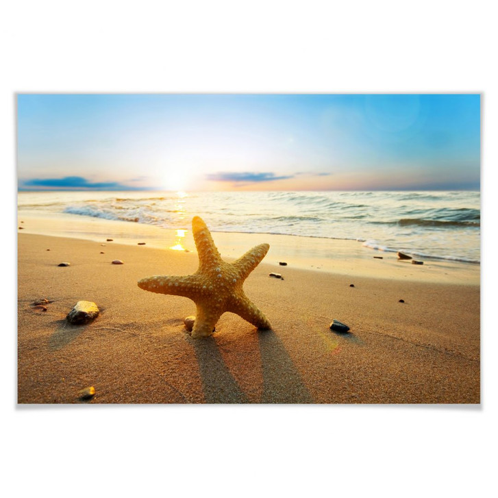 Poster Seestern im Sand - WA166637