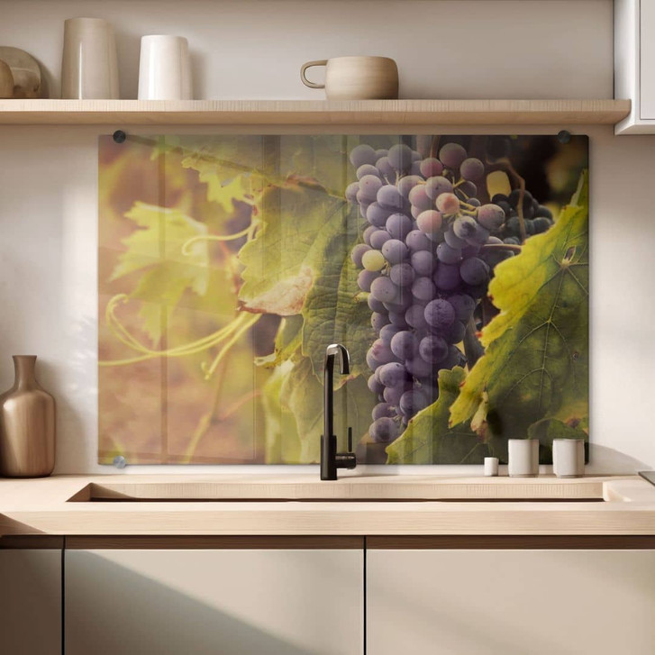 Spritzschutz Toskanische Weinrebe - WA179629