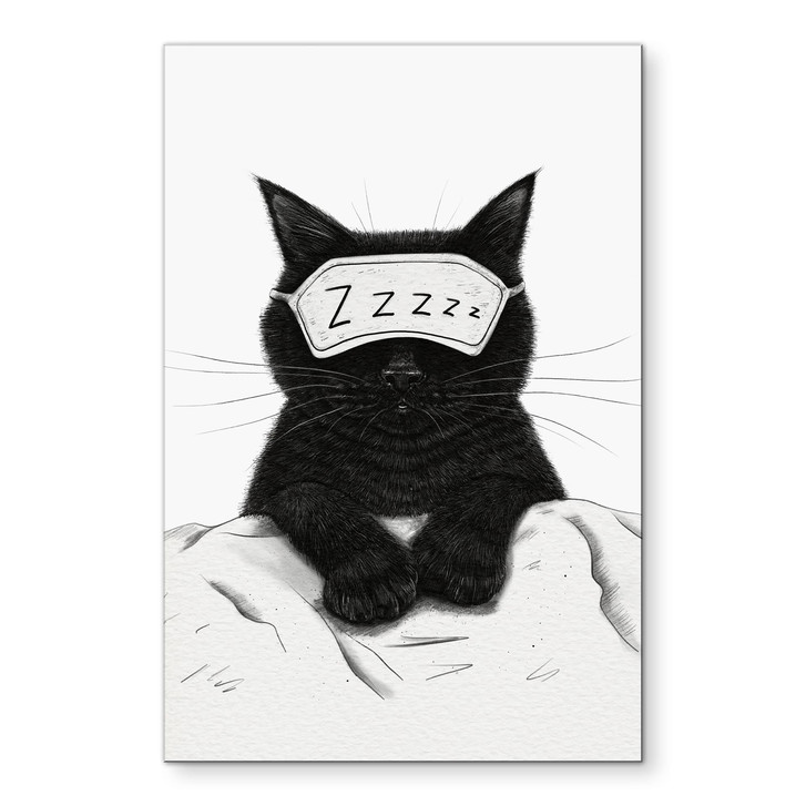 Wandbild Schwarze Katze mit Schlafmaske - Korenkova - Alu-Dibond - WA515825