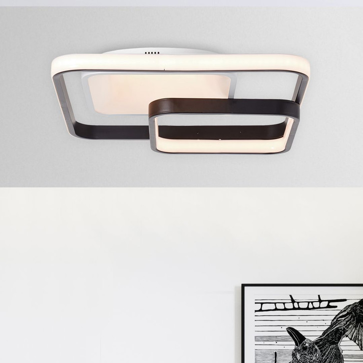 Deckenleuchte Edda, schwarz, 11.5 x 40 cm, Metall Innenleuchte - WA438576