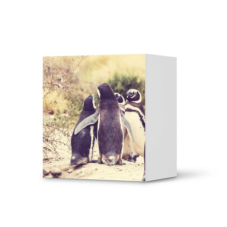 Klebefolie IKEA Besta Regal 1 Türe - Pingu Friendship - CR109215