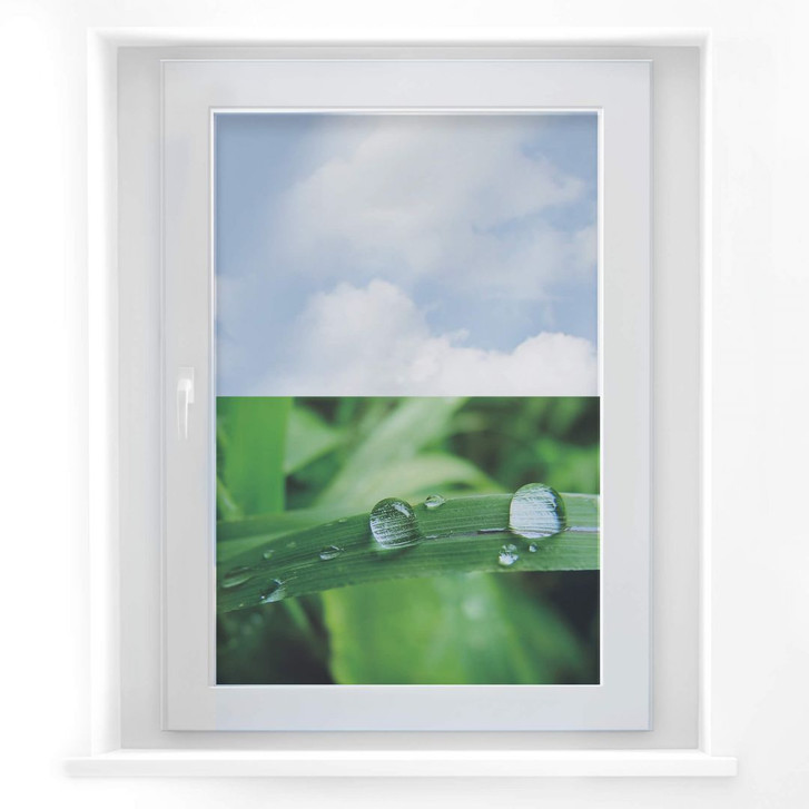 Fensterbild Natur 4 - WA117599