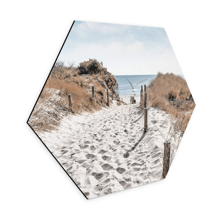 Hexagon Wandbild Strandaufgang Dünen - Alu-Dibond - WA354918