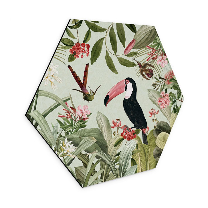 Hexagon Wandbild Tukan im Dschungel-Paradies - Alu-Dibond - UN Designs - WA394925