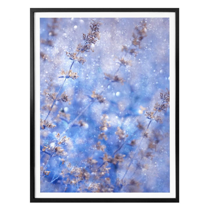 Poster Devos - Früher Winter - WA322927