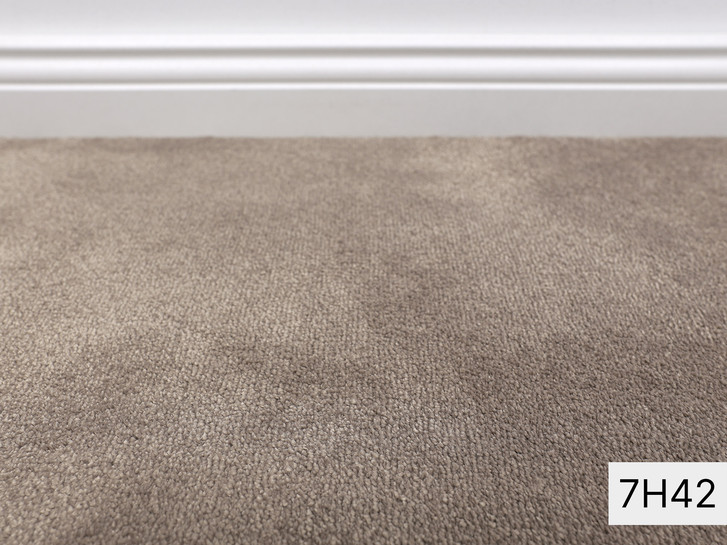 Safira Vorwerk Teppichboden Meterware in 7H42 - TS521047