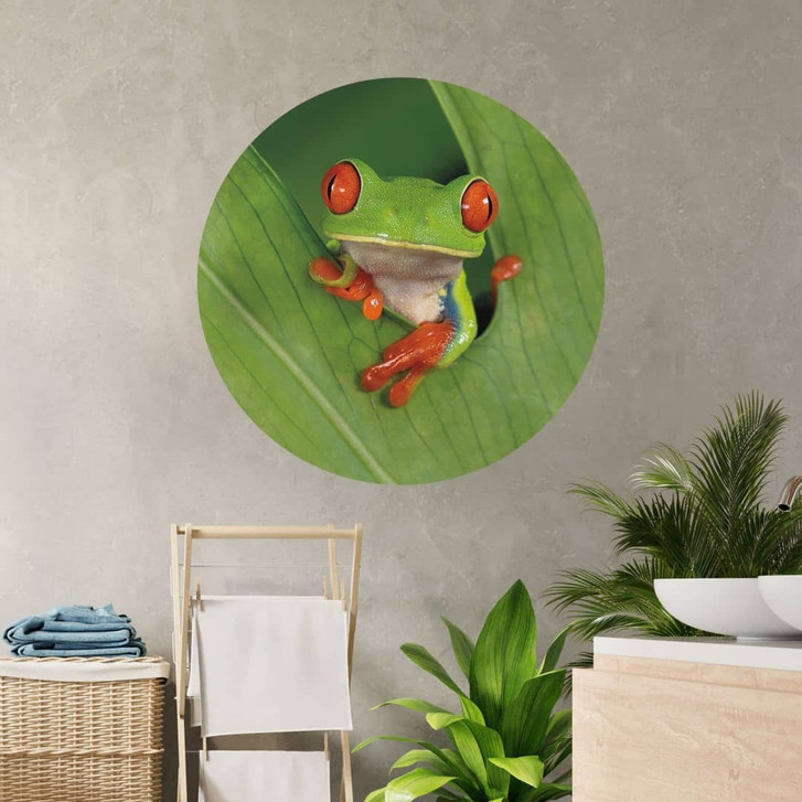 Wandtattoo Laubfrosch im Regenwald - van Duijn - Rund - WA474608