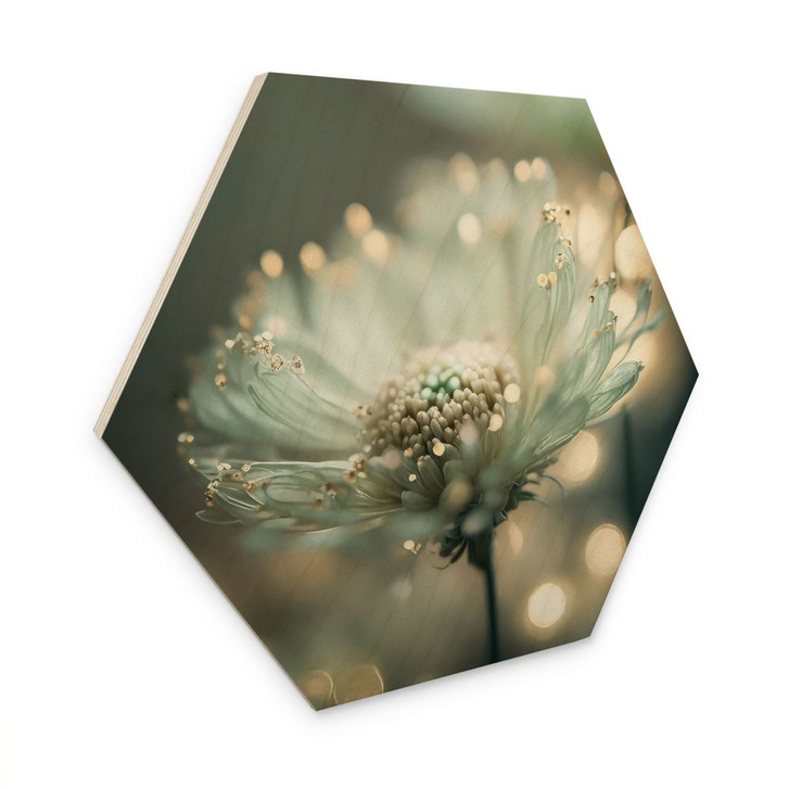 Hexagon Holzbild Zartes Funkeln der Blüten - Treechild - WA495478