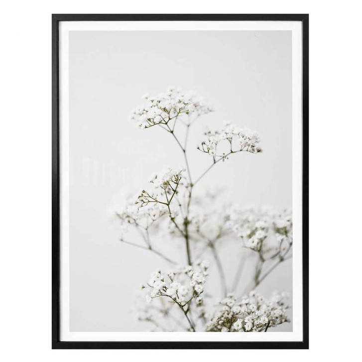 Poster Annie - Wiesenkerbel - WA317607