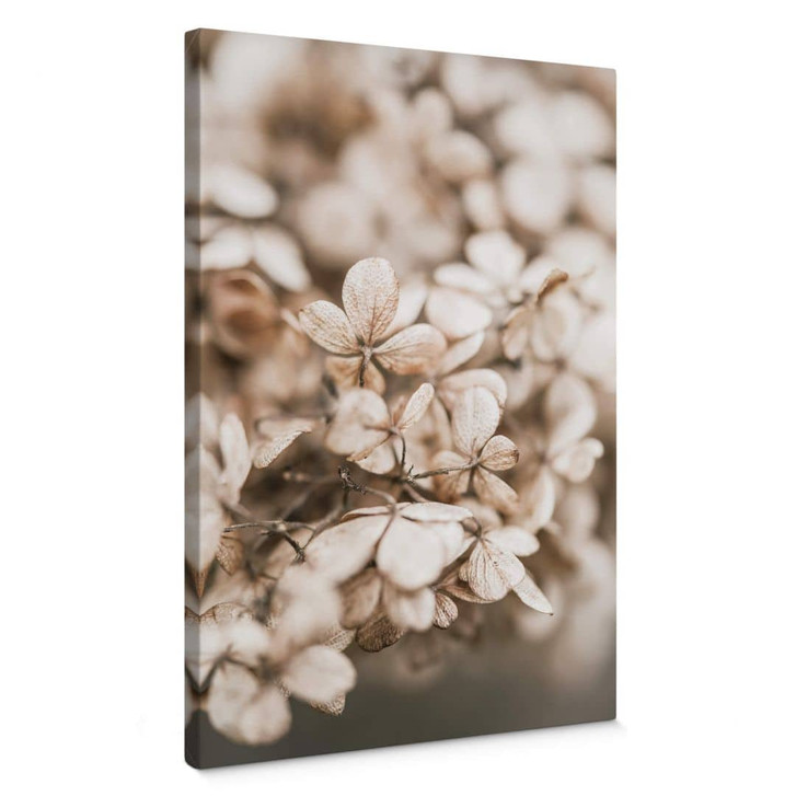 Leinwandbild Annie - Samtblüten - WA321559