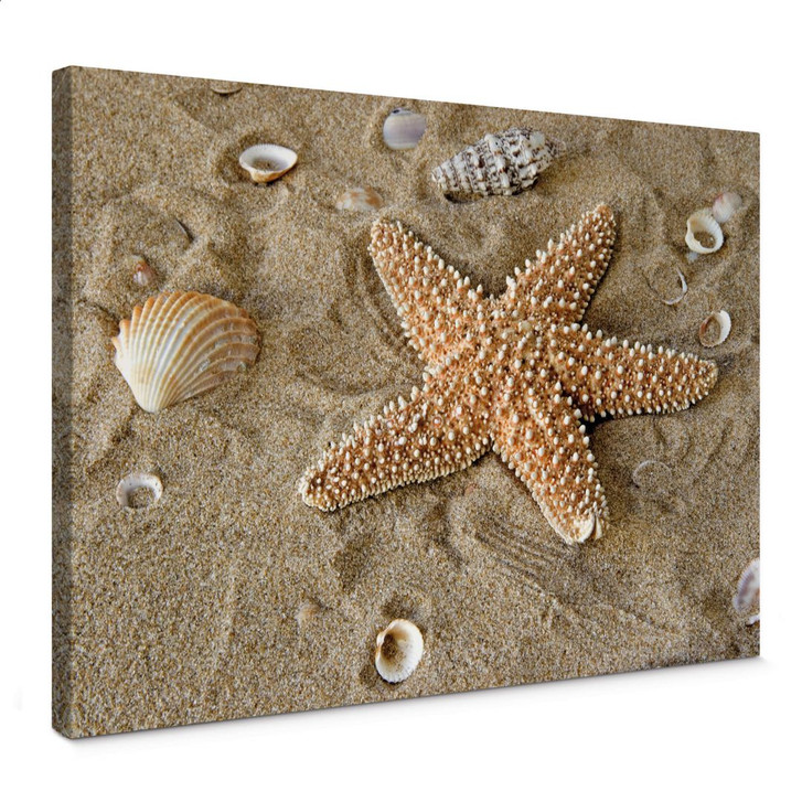 Leinwandbild Patrick der Seestern - WA372541