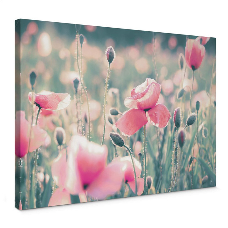 Leinwandbild Delgado - Mohnblumenmomente - WA361705