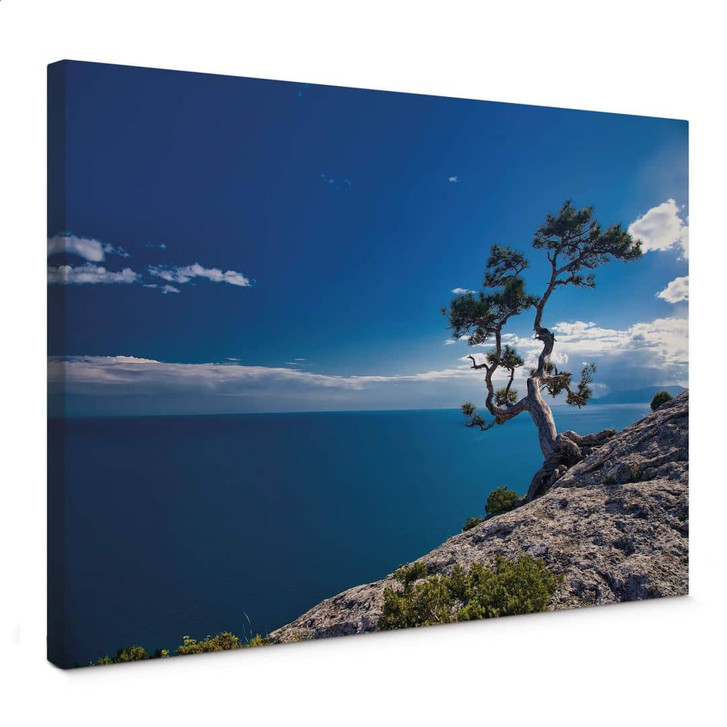 Leinwandbild Landschaft Meer - Tree and Sea - WA405408