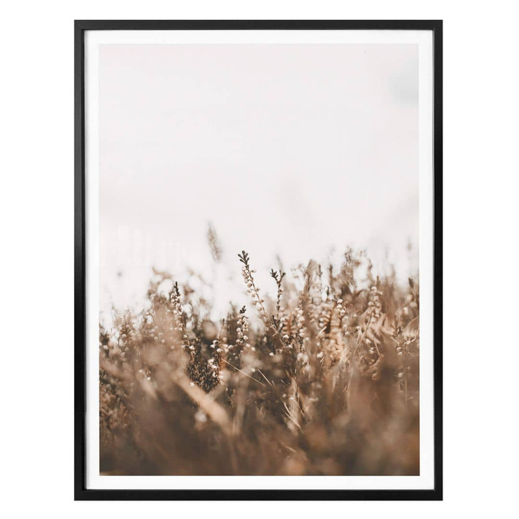 Poster Annie - Wiesengräser - Hochformat - WA322645