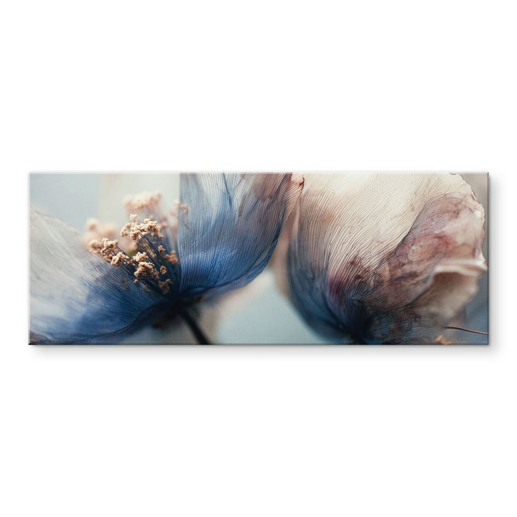 Acrylglasbild Filigrane Trockenblüten im Licht - Treechild - Panorama - WA491088