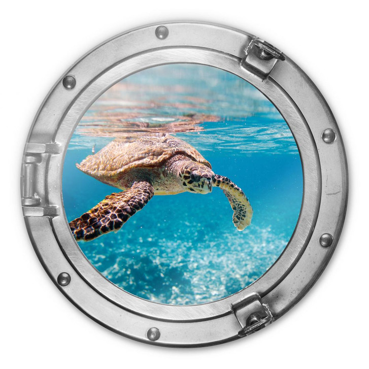 Glasbild 3D Optik Schildkröte auf Reisen - rund - WA231919