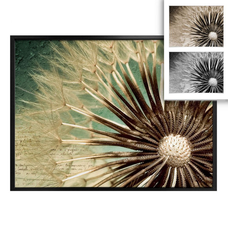 Poster Pusteblumen Poesie - WA248854