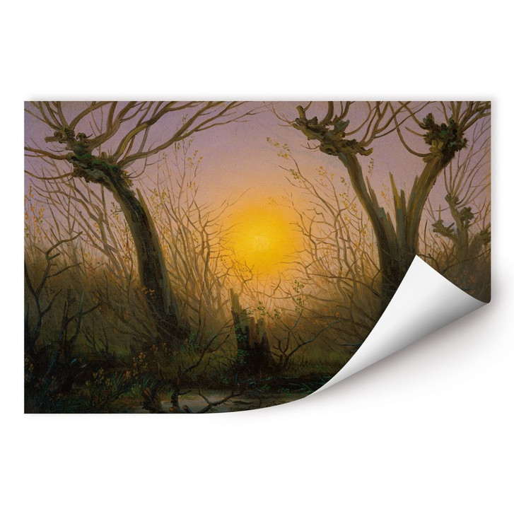 Wallprint Friedrich - Waldlandschaft bei tiefstehender Sonne - WA184078