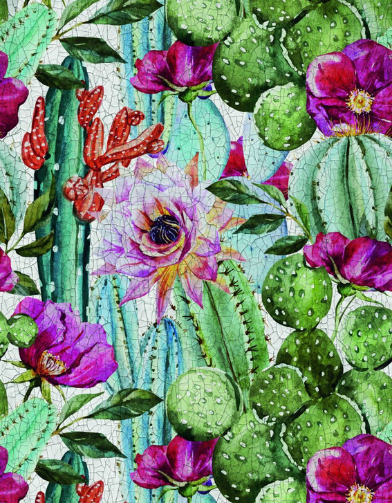 Fototapete Wandtapete mit Motiv Kakteen und pinke Blüten mit Schmetterling 3.4 x 2.65 m - WA505304