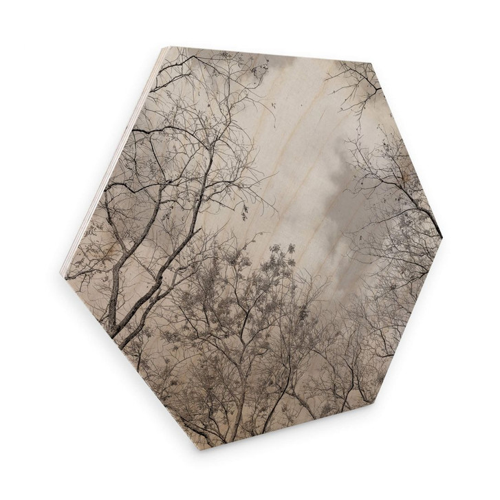 Hexagon - Holz Baumkronen im Himmel - WA306291