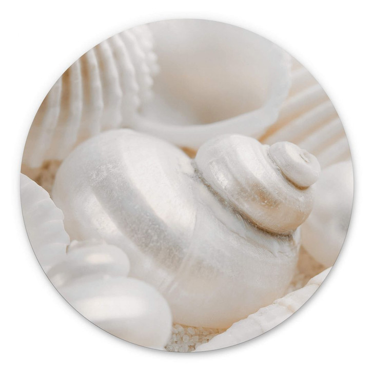 Wandbild Perlmuttglanz - Alu-Dibond Rund - WA383150