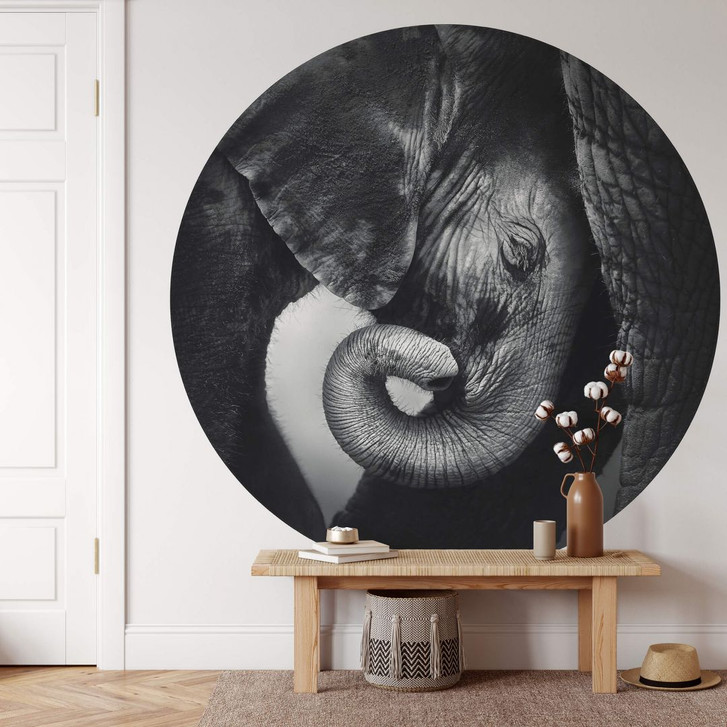 Fototapete Das Elefantenbaby - Rund - Selbstklebend/Vlies - WA308806
