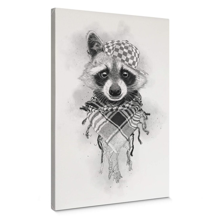 Leinwandbild Kools - Rocco Raccoon - WA366937