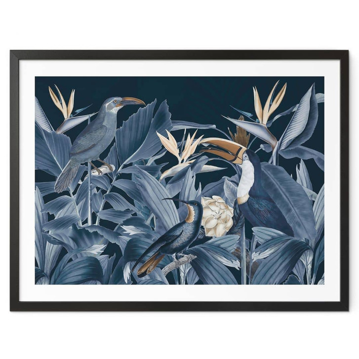 Poster Tropische Vögel im nächtlichen Wald - Haase - WA497920