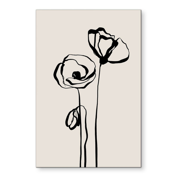 Wandbild Line Art Zwei Mohnblumen - Cats & Dotz - Alu-Dibond - WA491606