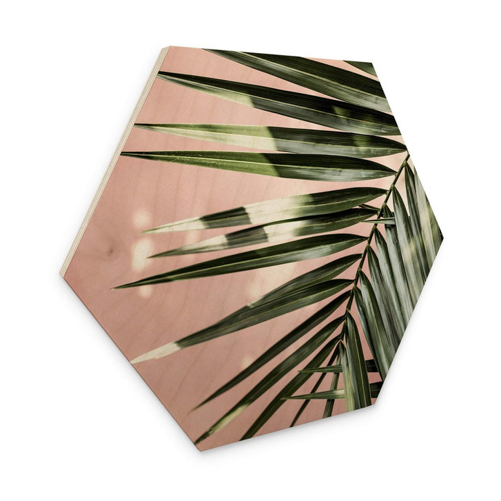 Hexagon - Holz Palmenblatt vor rosa Wand - Böhmer - WA400515