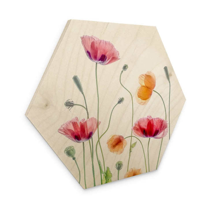 Hexagon Holzbild Bunte Mohnblumen - Disher - WA400295