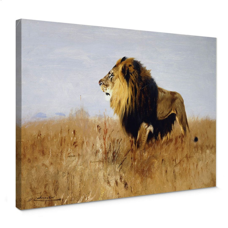 Leinwandbild Kuhnert - Löwe auf der Suche nach Beute - WA367865