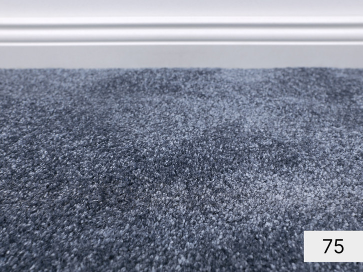 Secret New Velours Teppichboden Meterware in 75 - TS504103