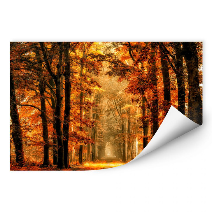 Wallprint van de Goor - Herbstallee - WA190967
