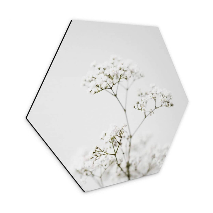 Hexagon - Alu-Dibond Annie - Wiesenkerbel - WA315499