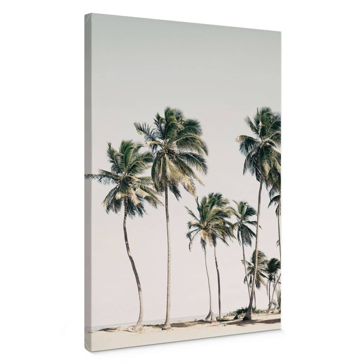 Leinwandbild Tropische Palmen am Strand - Sisi & Seb - WA472641