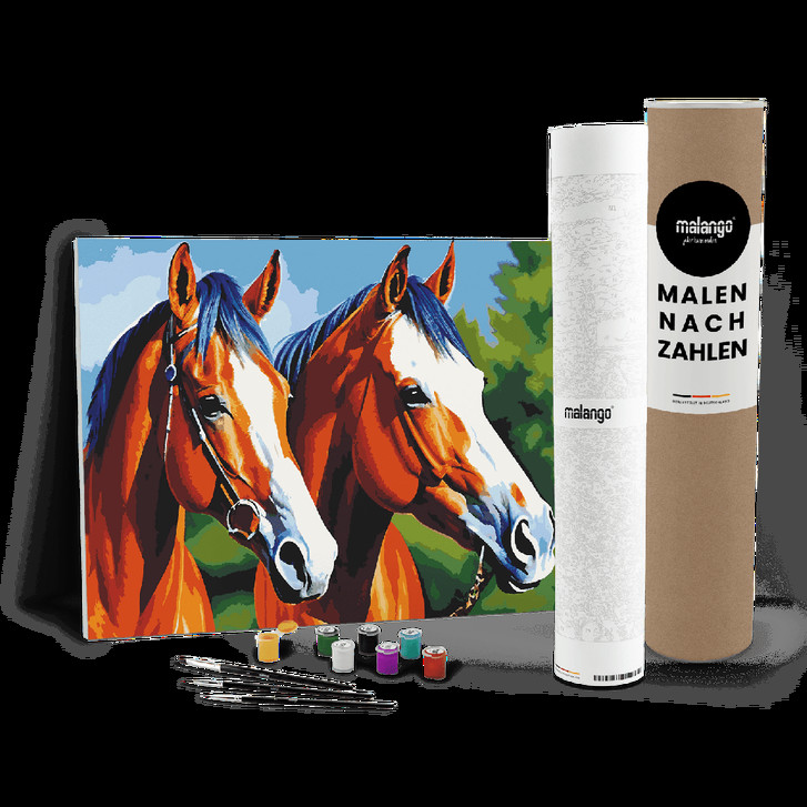 Malen nach Zahlen Leinwandbild - Pferde Pegasus und Penelope - WA447188