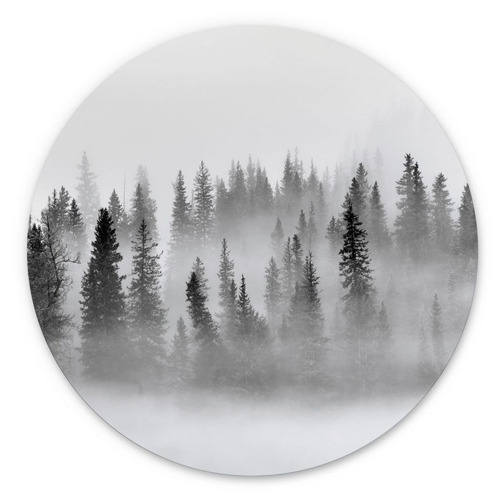 Wandbild Nebelwald in Schwarz-Weiss - Alu-Dibond Rund - Xu - WA394346
