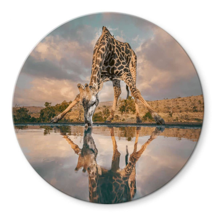 Glasbild Reflexion einer Giraffe in der Wildnis - Amtmann - Rund - WA432300