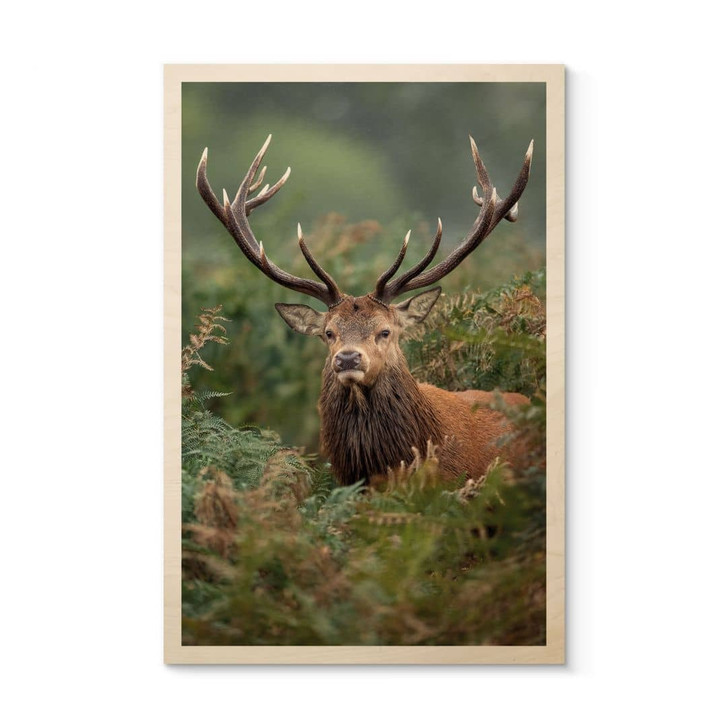 Holzbild Rothirsch - Wächter des Waldes - van Duijn - WA472198