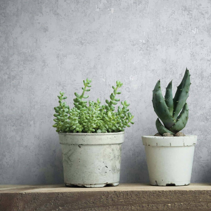 Vliestapete Betonoptik Struktur Modern in Grau - WA472971