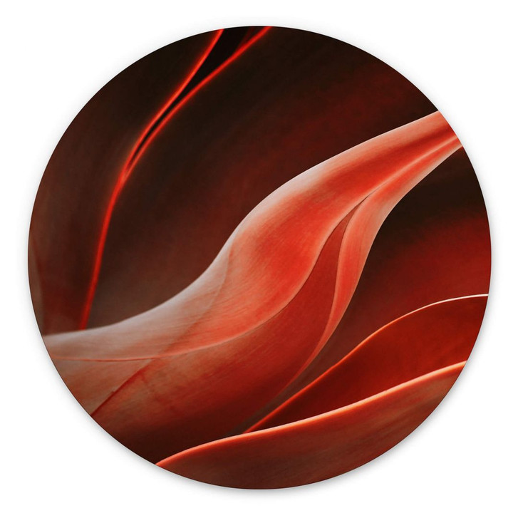 Wandbild Wechsler - Pflanzen Stillleben Agave im Herbst - Alu-Dibond Rund - WA383374