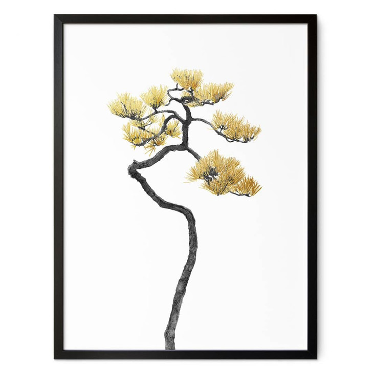 Poster Bonsai in Balance - Amini - WA406998