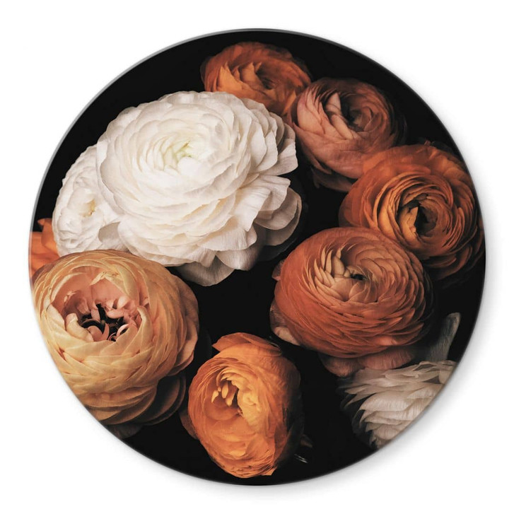 Glasbild FiguraNYC Photography - Ranunkeln Stillleben - Rund - WA352812