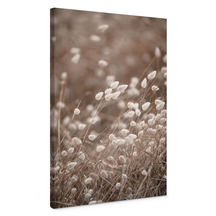 Leinwandbild Zarte Gräser im Herbstlicht - Collins - WA426362