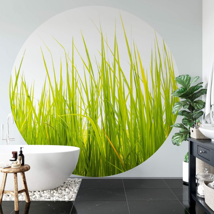 Fototapete Hohes Gras - Rund - Selbstklebend/Vlies - WA299324