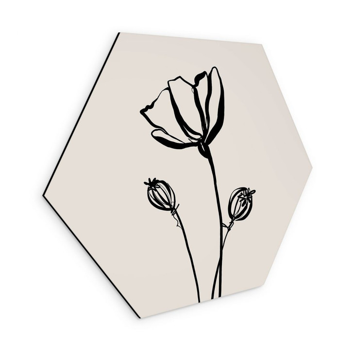 Hexagon Wandbild Line Art Mohnblume - Cats & Dotz - Alu-Dibond - WA491591